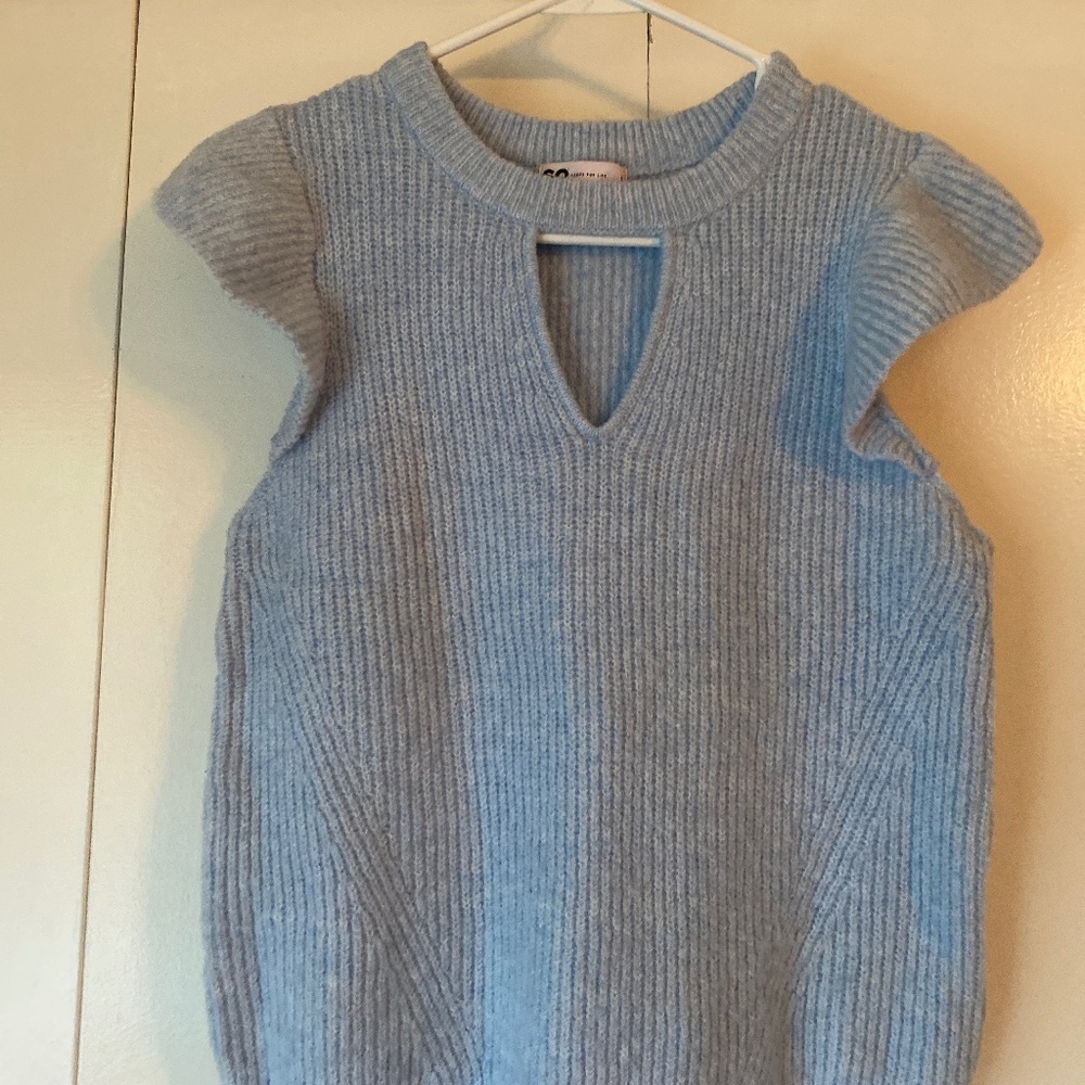 Blue Sweater
